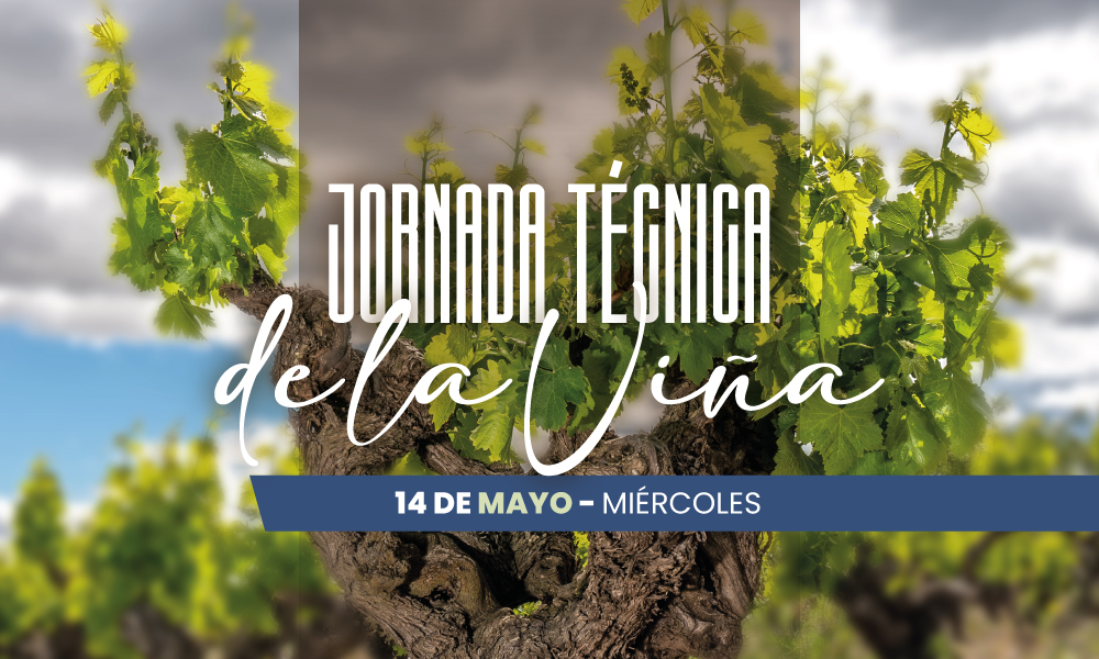 noticia-jornada-tecnica-viña-2